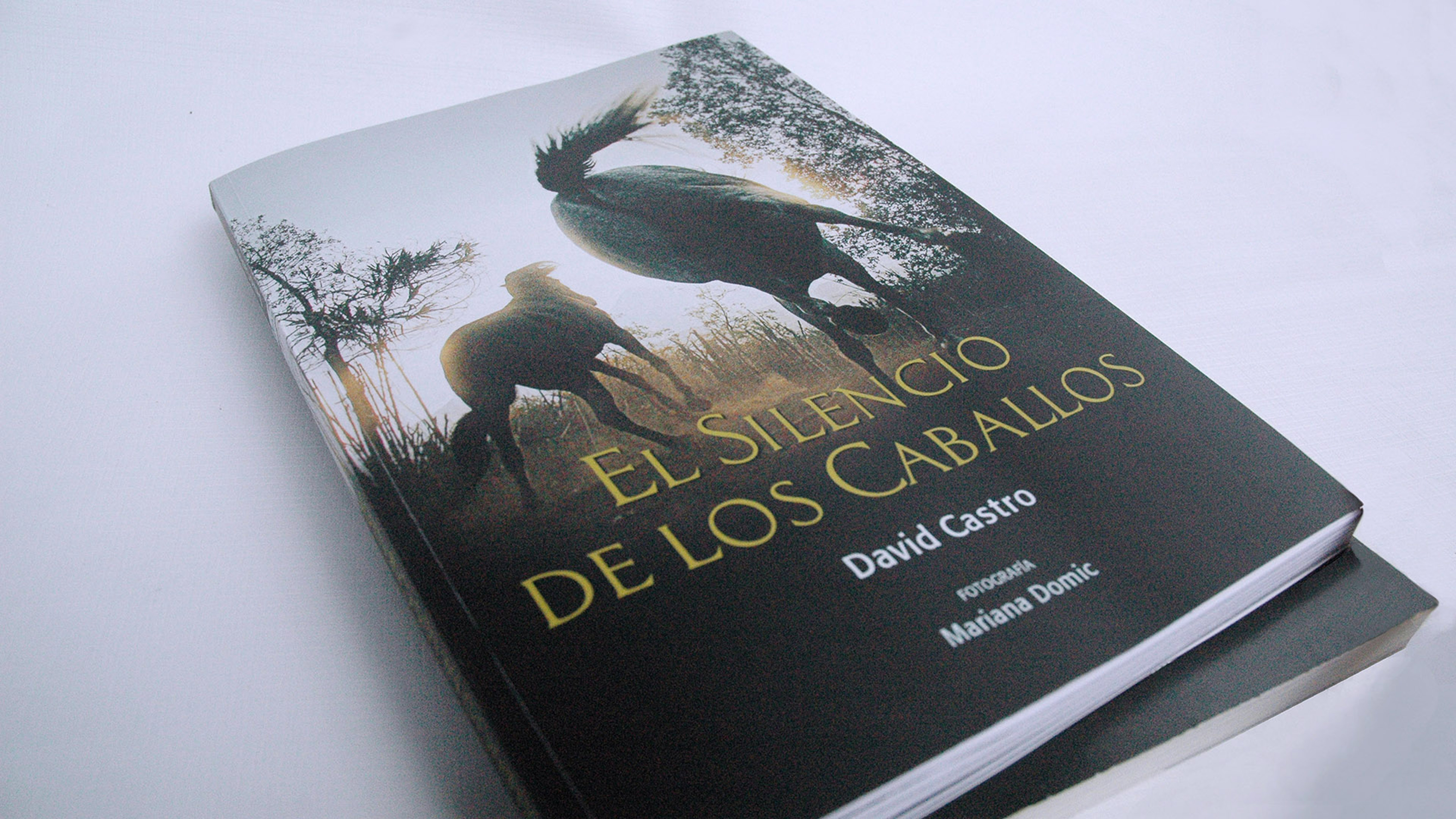 El silencio de los caballos. David Castro